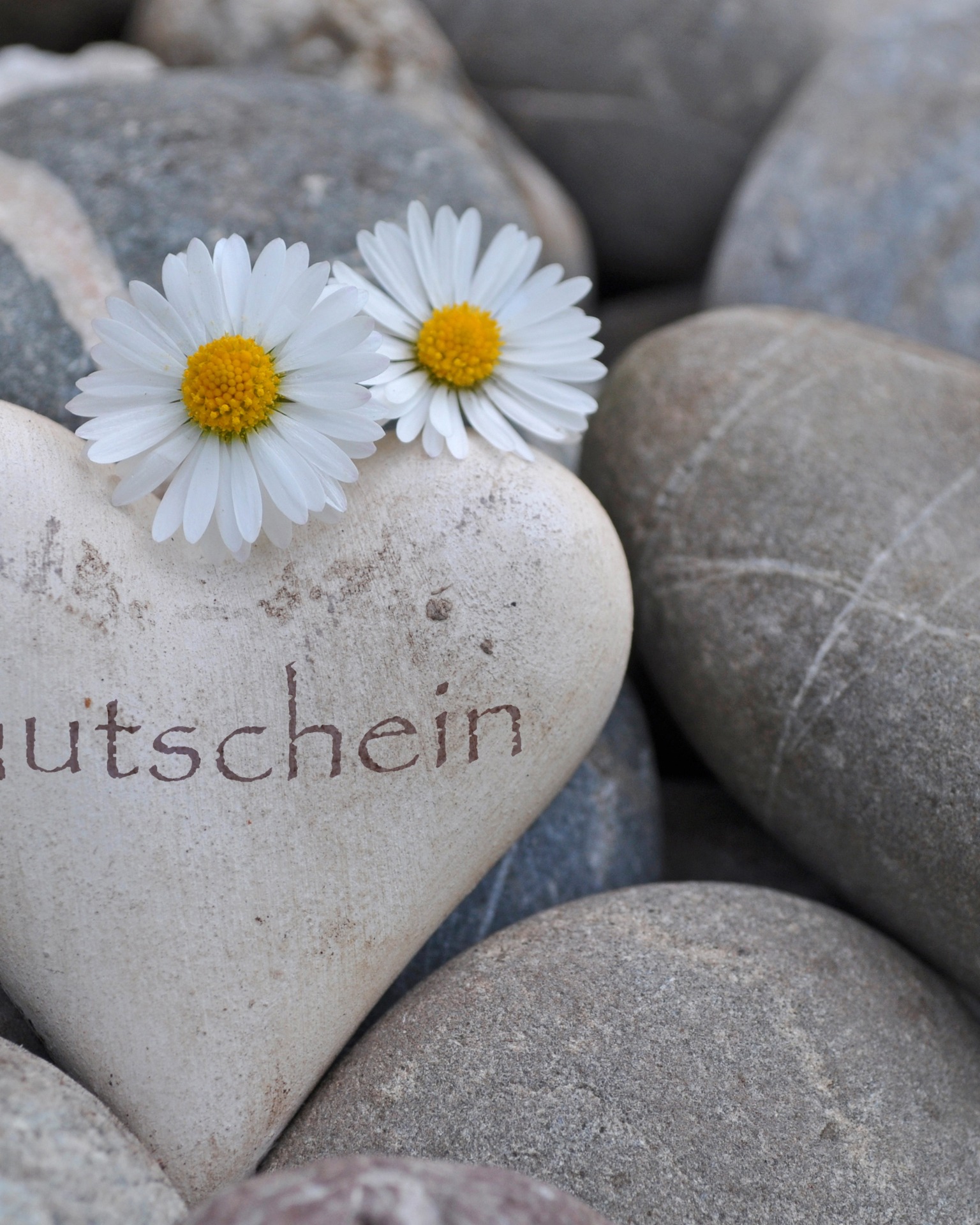 Gutscheine für Ihr relexa hotel