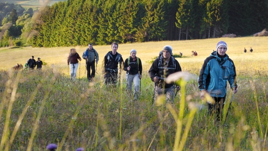 Wanderungen im herrlichen Frankenwald rund um Bad Steben