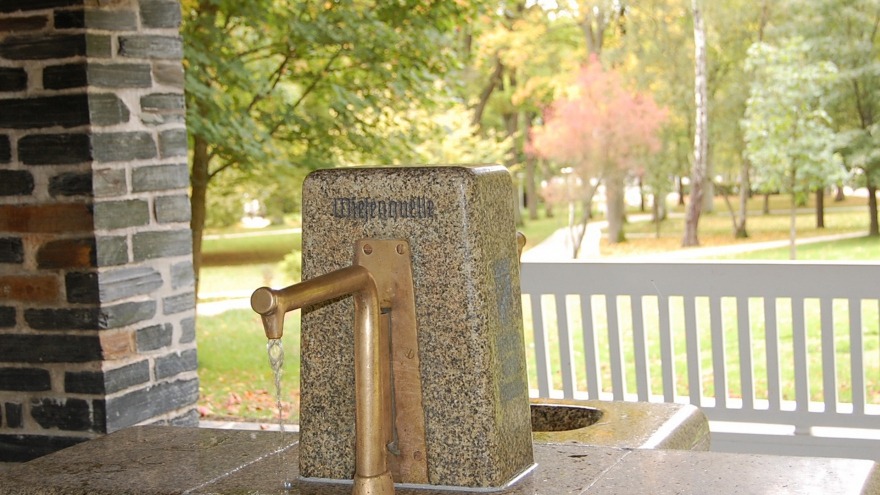 Wiesenquelle im Kurpark Bad Steben