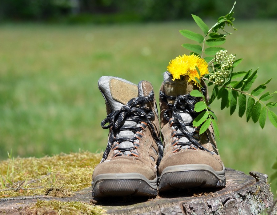 Wandern im Frankenwald relexa hotel Bad Steben